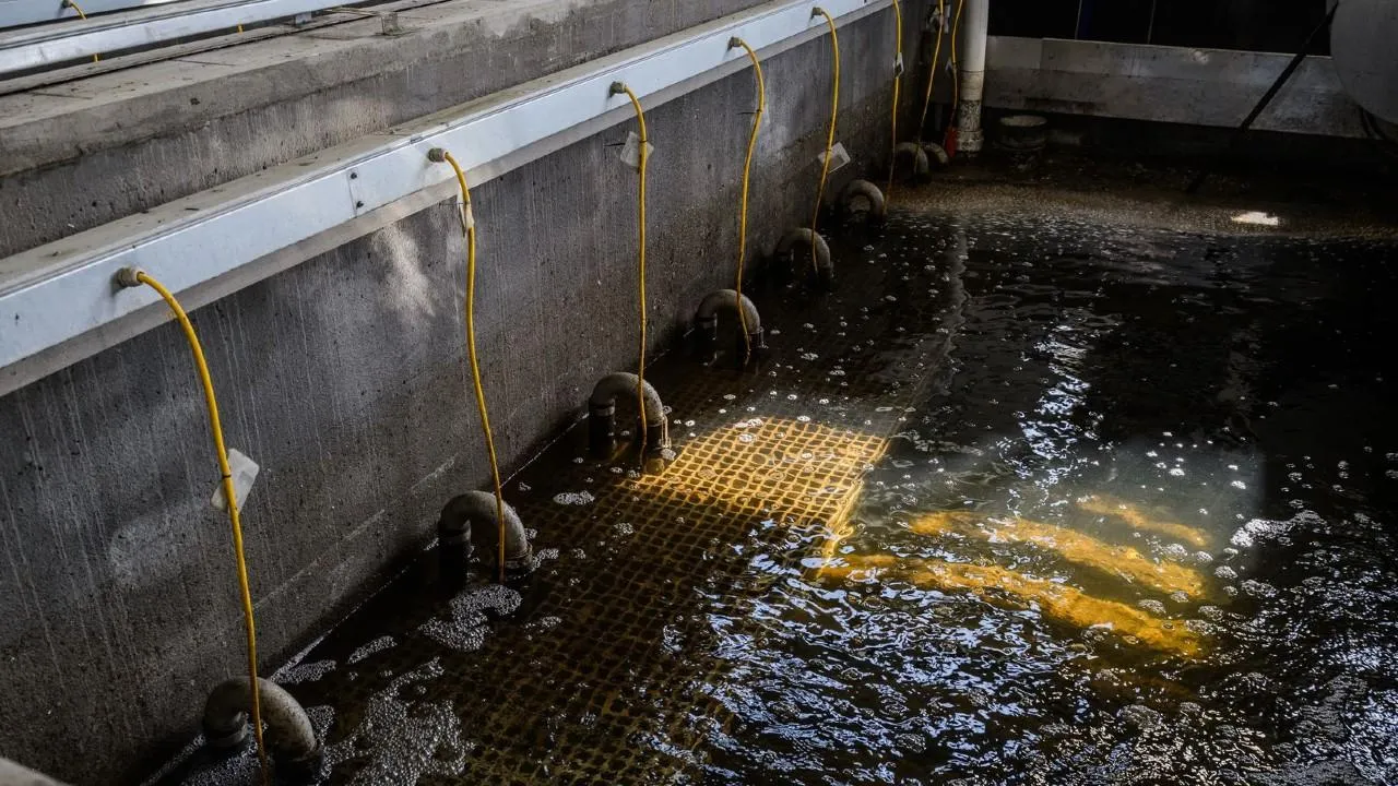 Оборудование для очистки воды будут производить в Солнечногорске