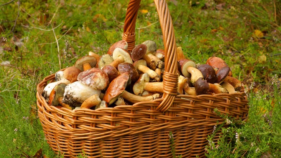 Фото: istockphoto.com