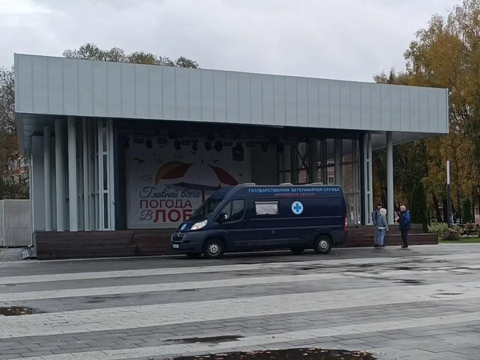 Фото: МедиаБанк Подмосковья/Екатерина Дятловская&nbsp;&nbsp;