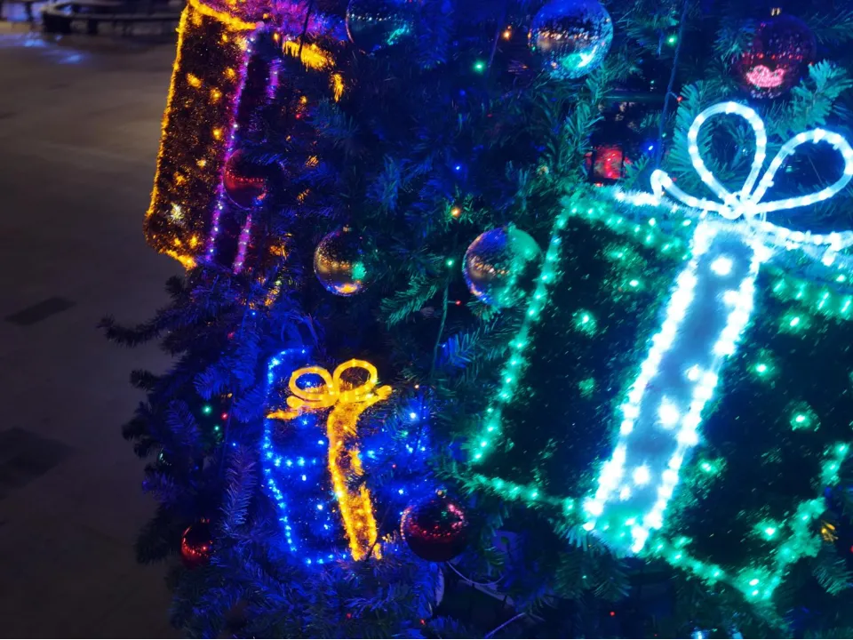 Фото: Министерство благоустройства Московской области