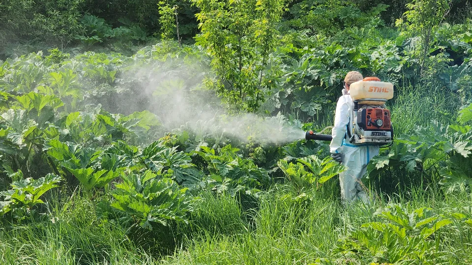 Фото: МедиаБанк Подмосковья/Станислав Орлов
