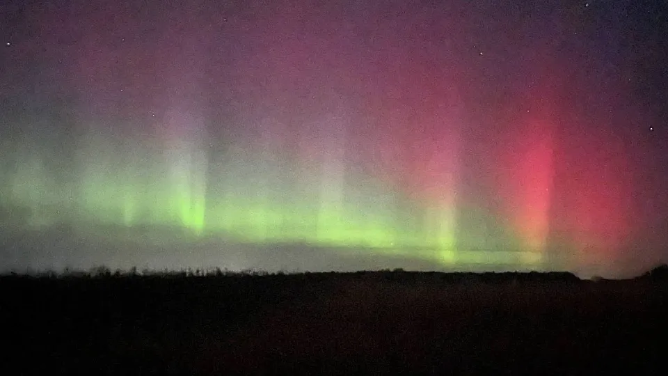 Фото: МедиаБанк Подмосковья/Дарья Леонова