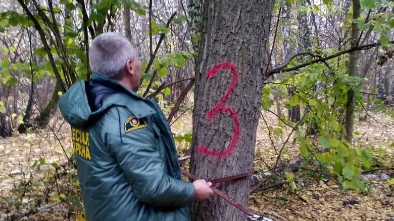 Комитет лесного хозяйства Московской области