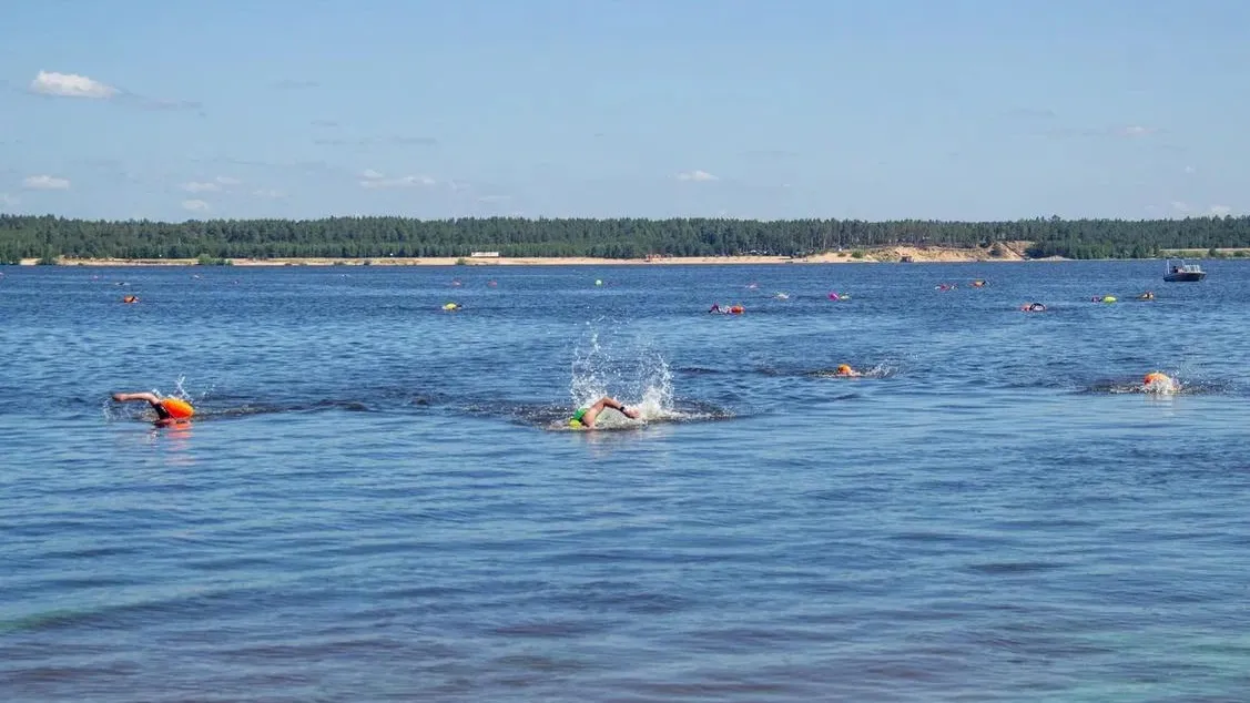 Заплыв через р.Волга CHEBSWIM