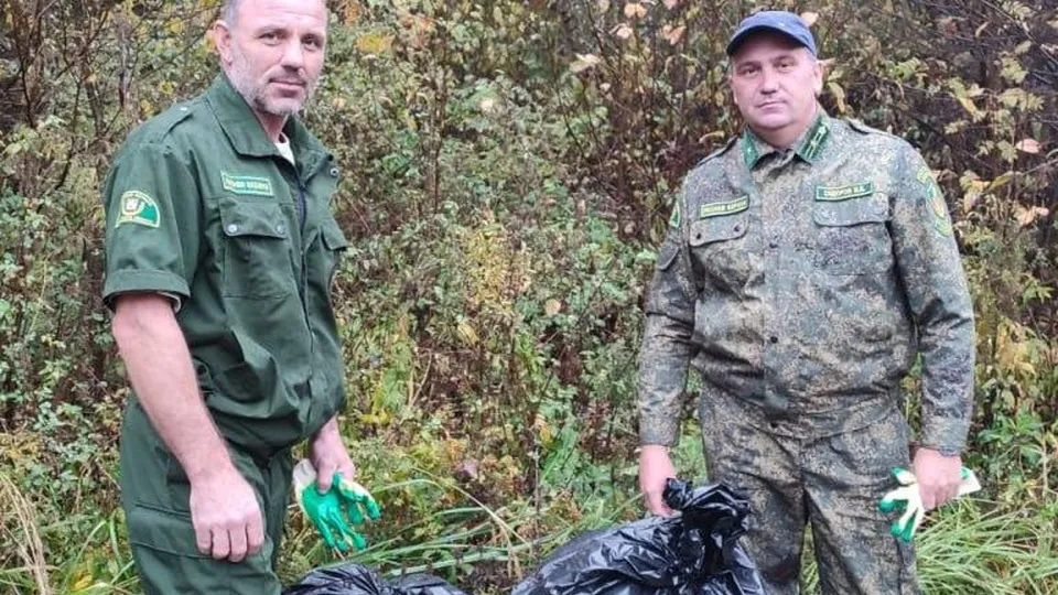 Фото: Комитет лесного хозяйства МО