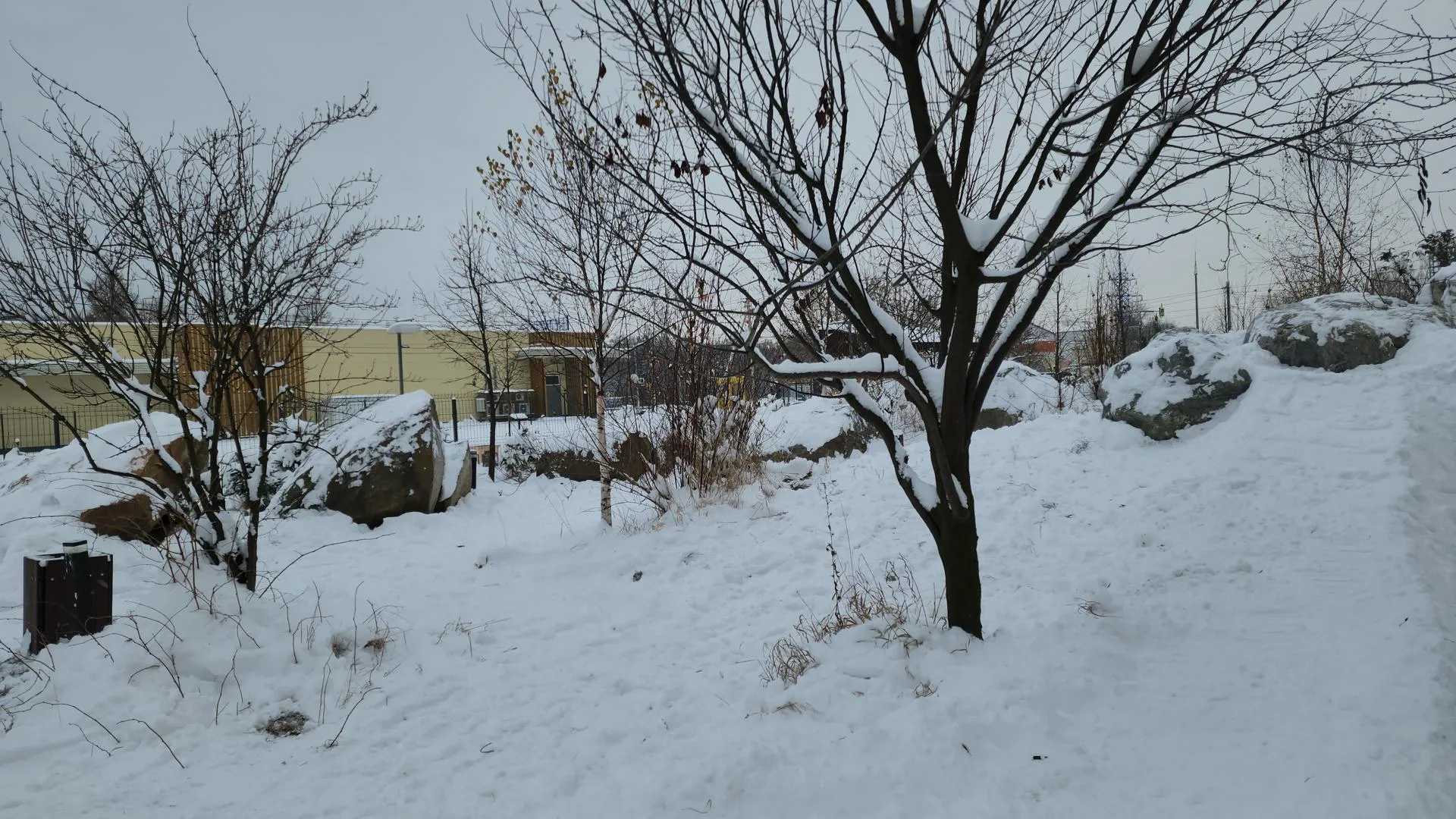 Андрюхина Мария