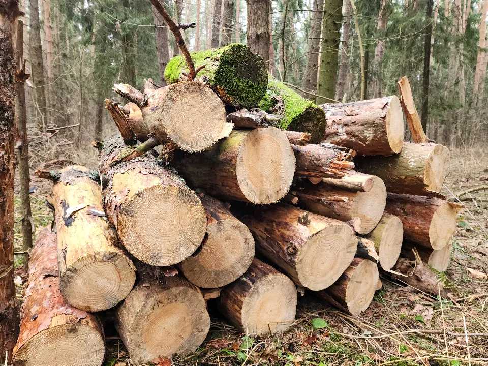 Фото: Мария Андрюхина