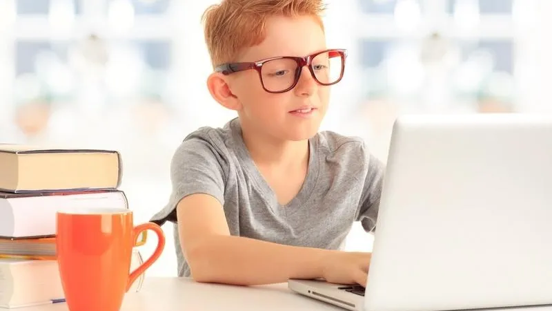 Школьный портал и онлайн-обучение. В Подмосковье рассказали, как обеспечат свободное посещение в школах