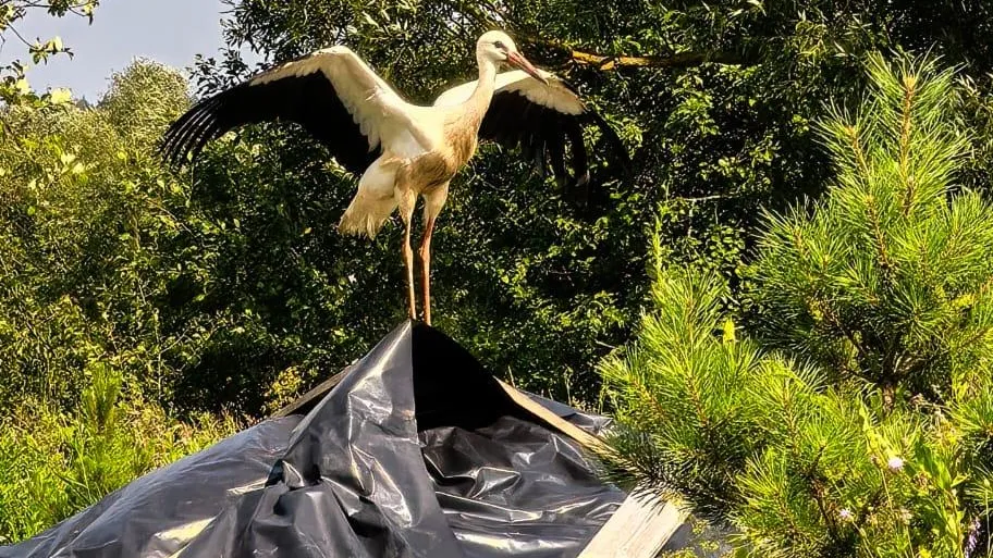 Фото: Анна Тюрюмина