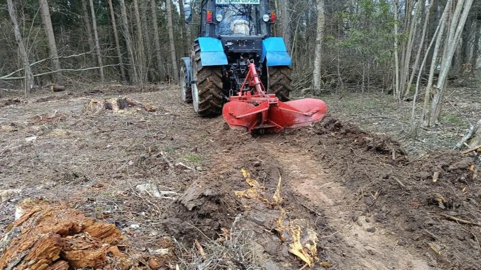 Фото: Комлесхоз Московской области