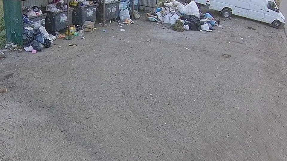 Фото: Администрация Богородского городского округа