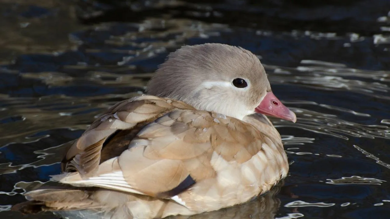 Фото: Анна Евсеева