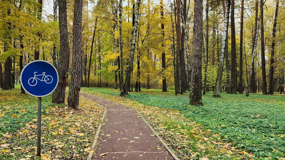 Фото: Ксения  Пашуто