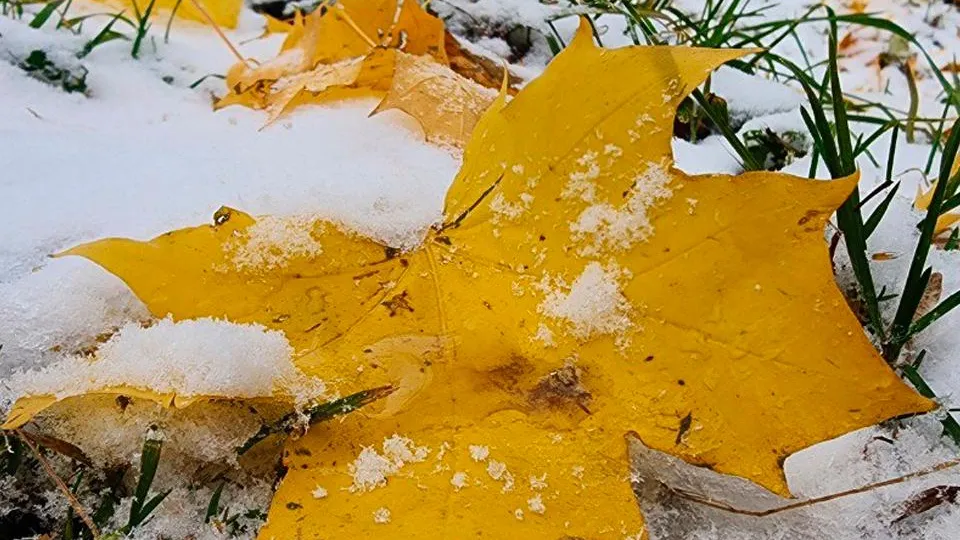 Фото: REGIONS/Наталия Надточая