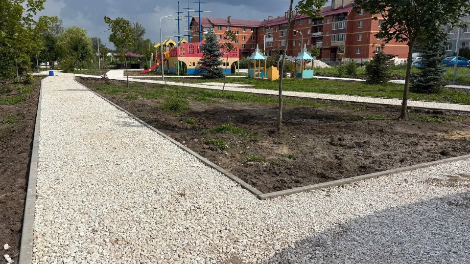 Фото: Администрация Орехово-Зуевского городского округа