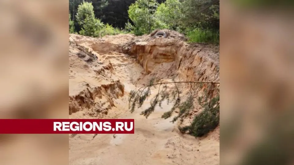 Фото: соцсети