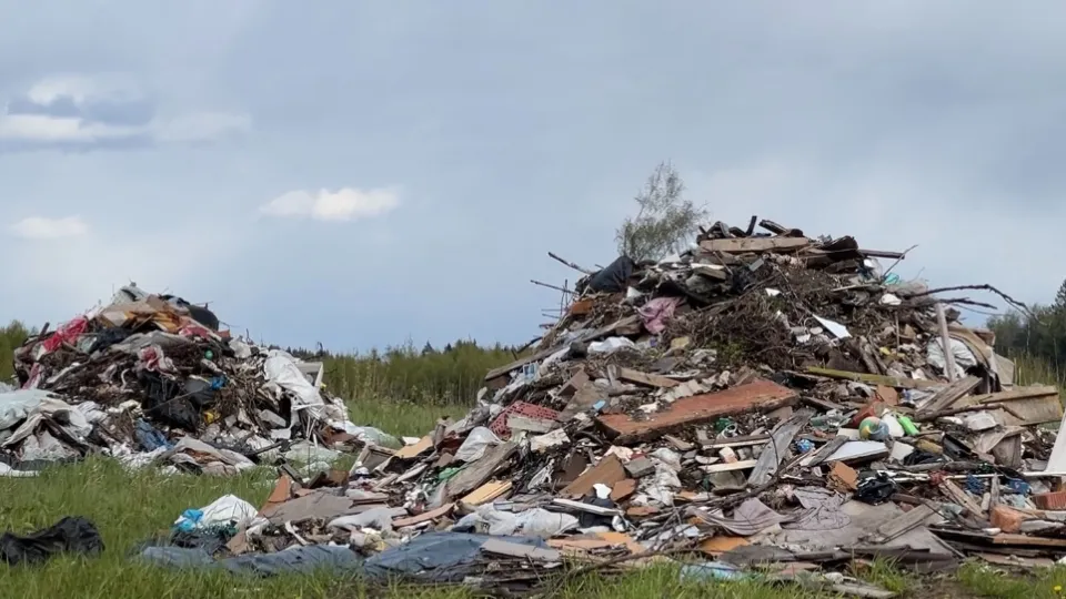 Фото: МедиаБанк Подмосковья/Валерия Ерофеева