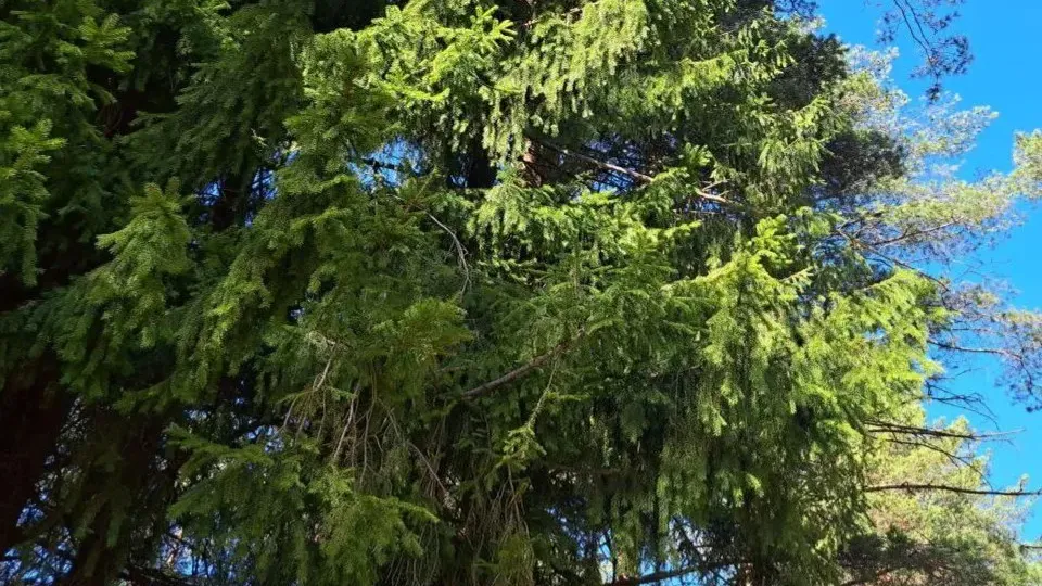 Фото: REGIONS/Татьяна Юзенас