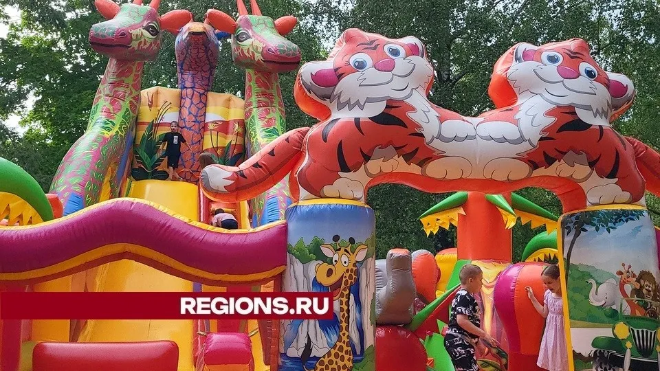 Фото: пресс-служба администрации городского округа Луховицы