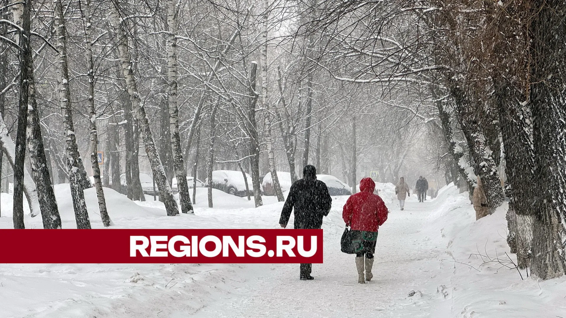 Фото: ©Александр Легкий