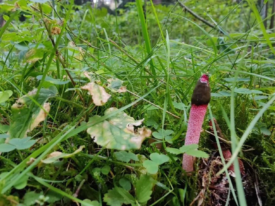 Фото: МедиаБанк Подмосковья/Владимир Киселев