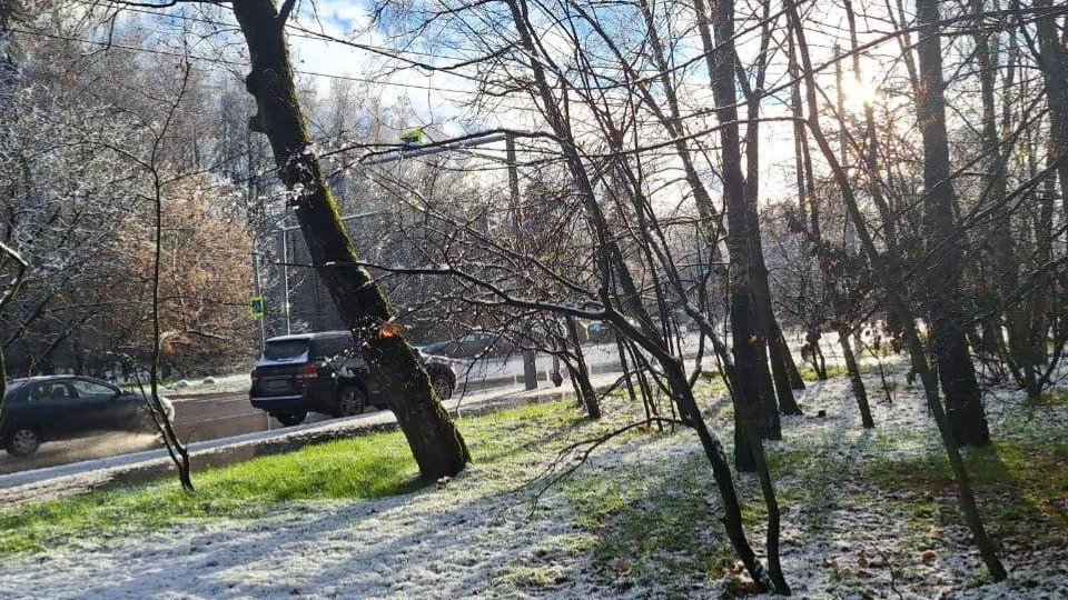 REGIONS/Катерина Антохина