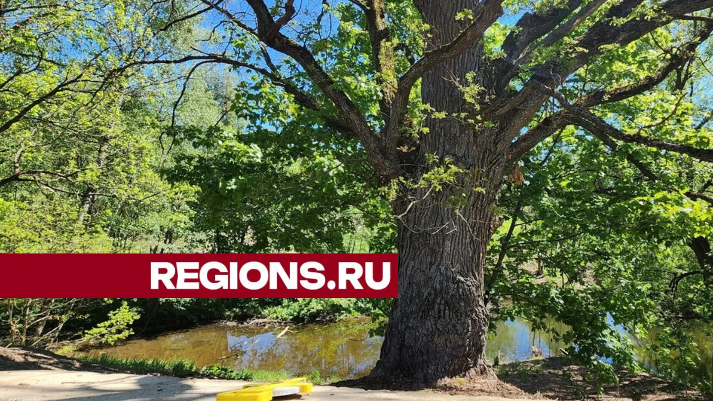 Фото: Наталья Акуленок