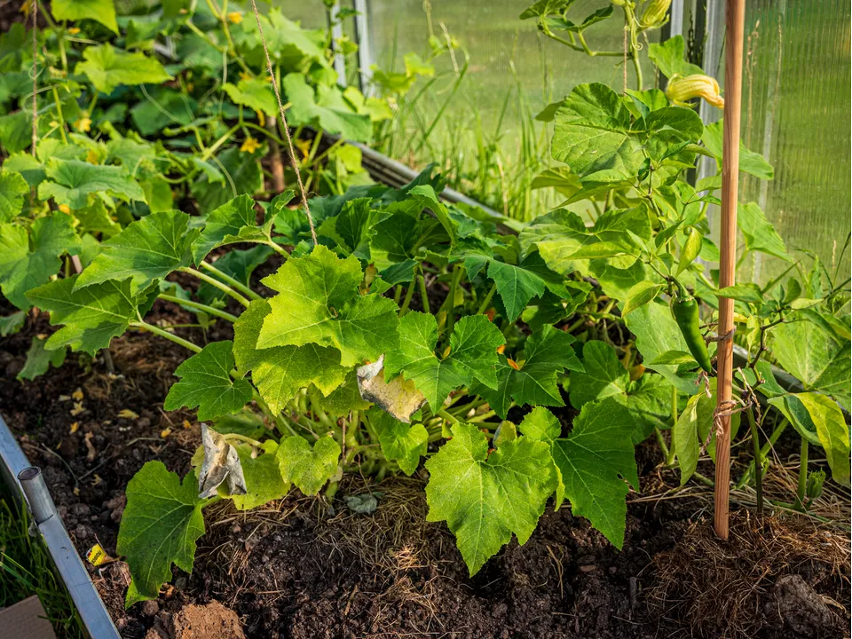 Фото: REGIONS/Наталия Надточая