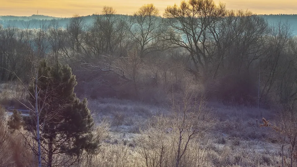 Фото: Антон Кондратюк