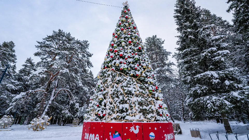 Фото: медиасток.рф