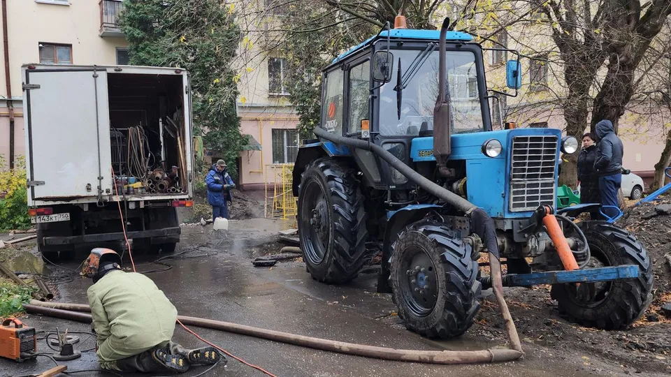 Фото: Ксения Пашуто