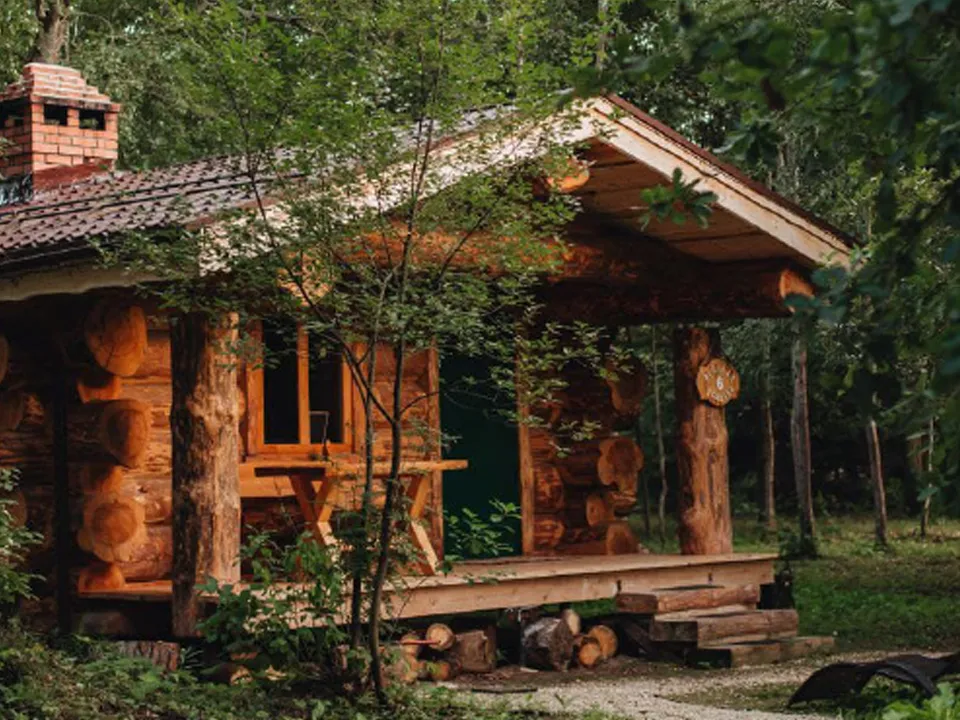 Фото: База отдыха Дубки