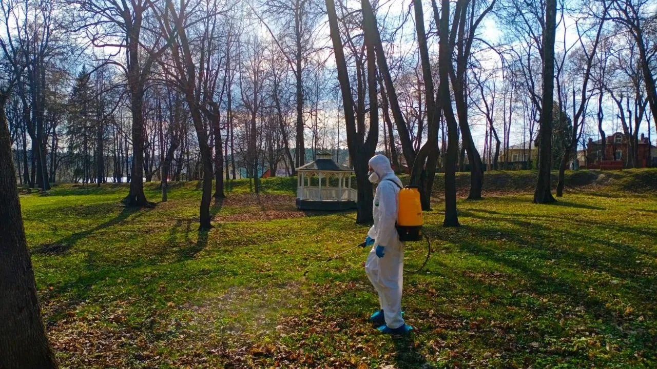 Фото: пресс-служба администрации Дмитровского г.о.