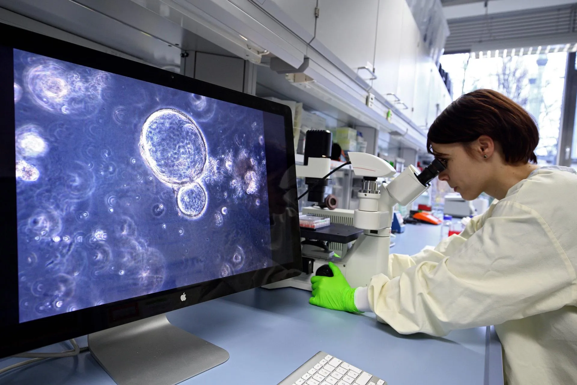 Juergen Blume via www.imago-imag/www.imago-images.de