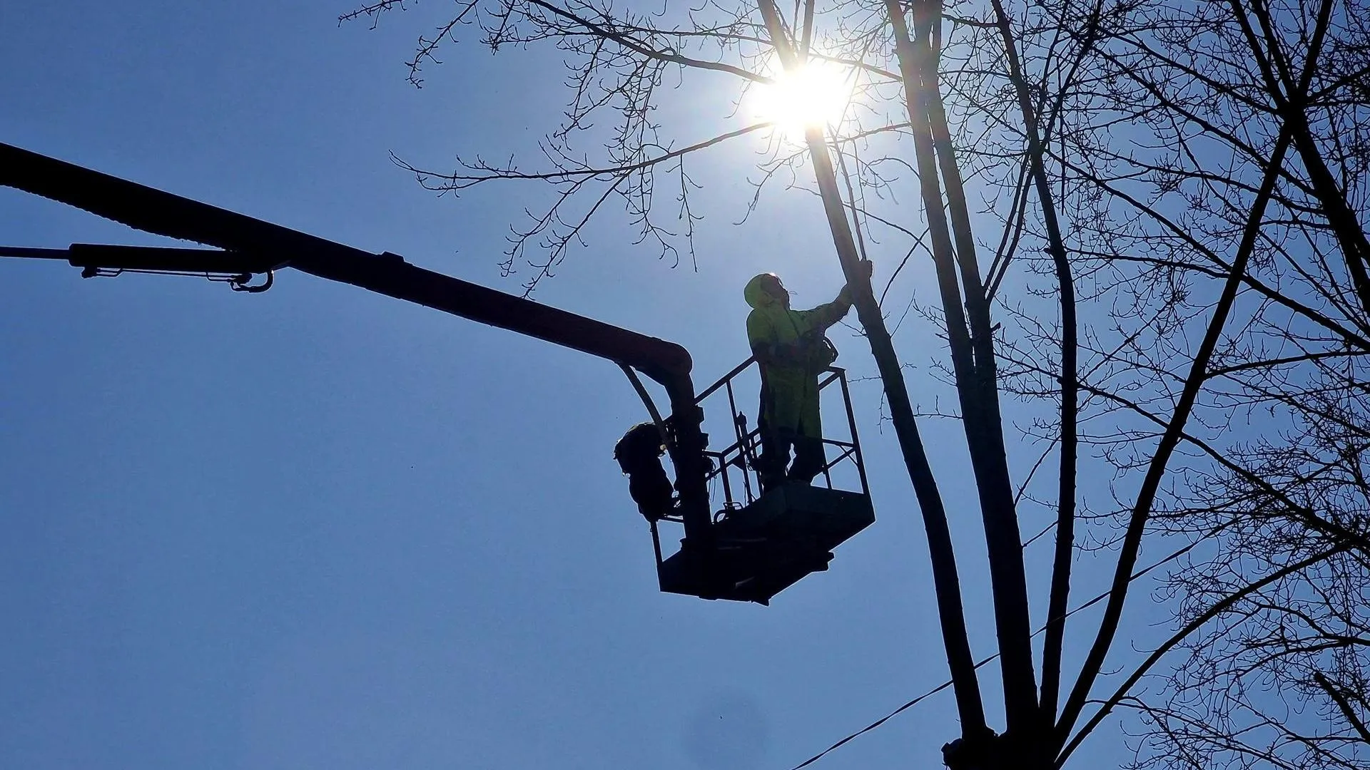 REGIONS/Ольга Шаронова