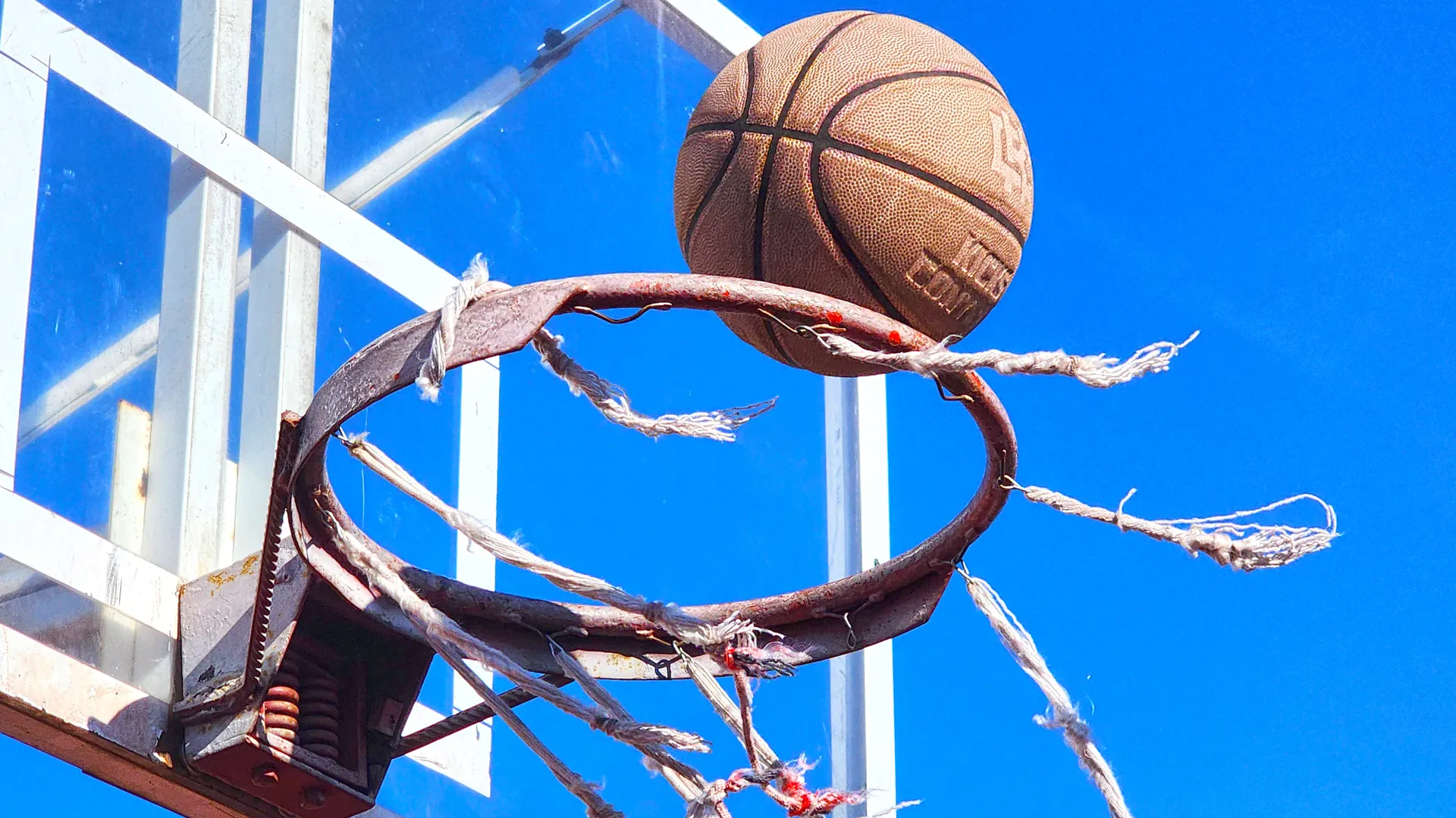 Фото: Михаил Мартыненко