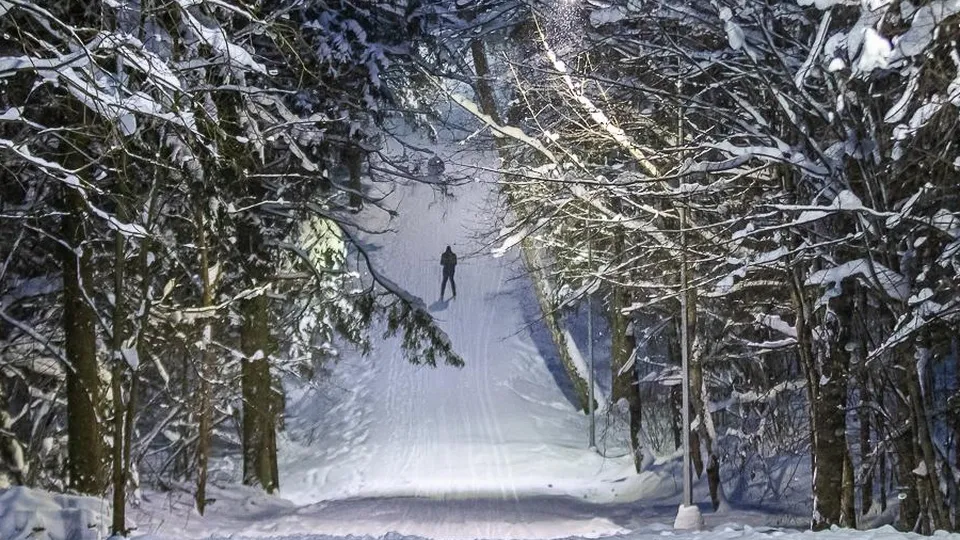 Фото: пресс-служба администрации Одинцовского г.о.