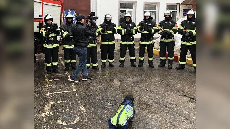 «Трудно не поддаться обаянию»: такса Моня помогает пожарным в Подмосковье