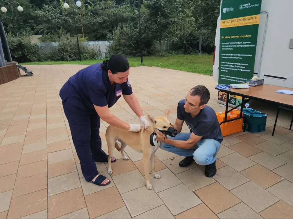 Фото: МедиаБанк Подмосковья/Наталья Лымарь