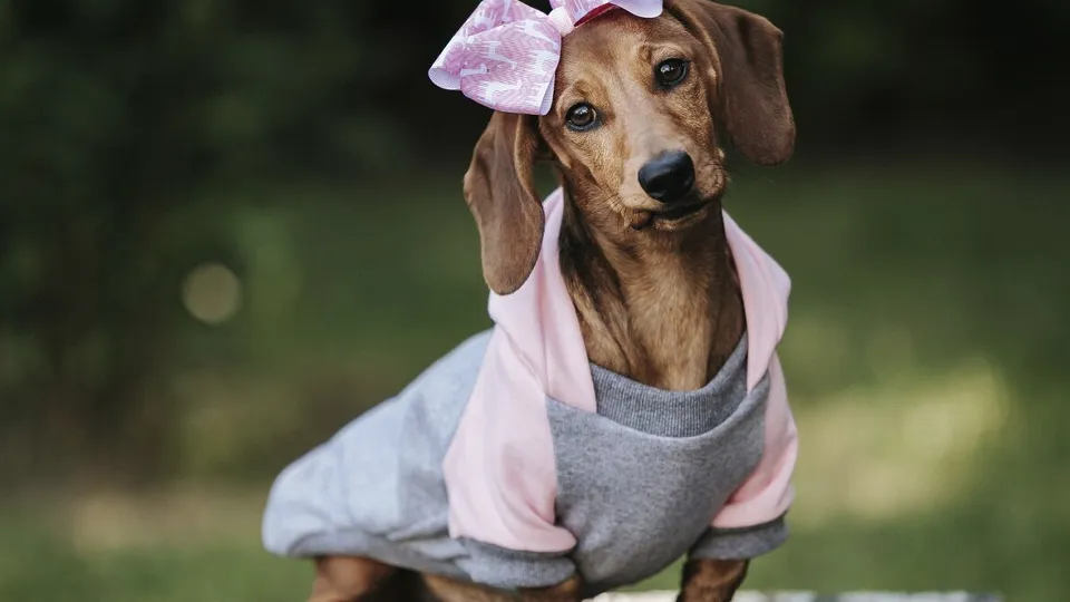 Фото: freepik.com