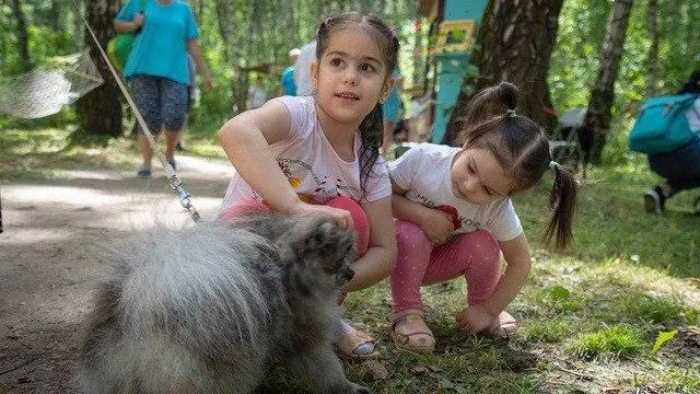 Фото: t.me/parkidmd