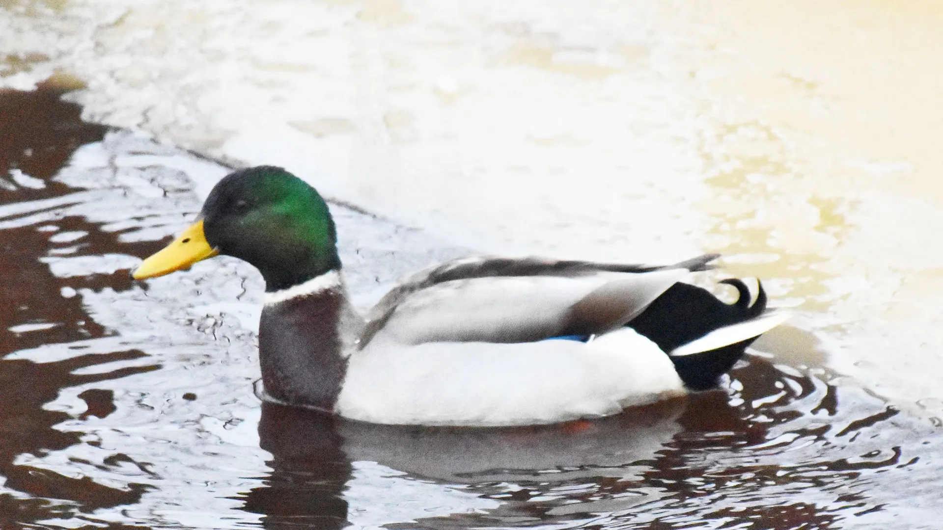 Фото: Оксана Лапшина