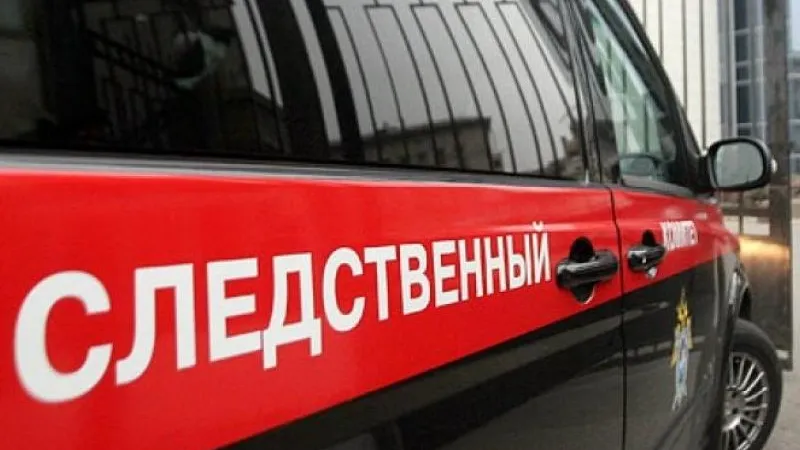 Дела об убийстве двух новорожденных завели в Подмосковье