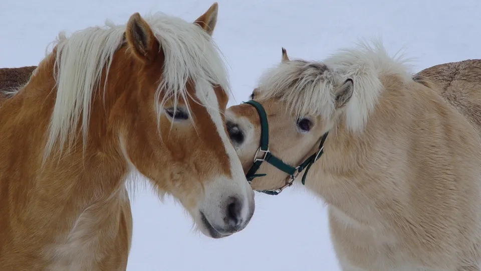 Фото: pxhere.com