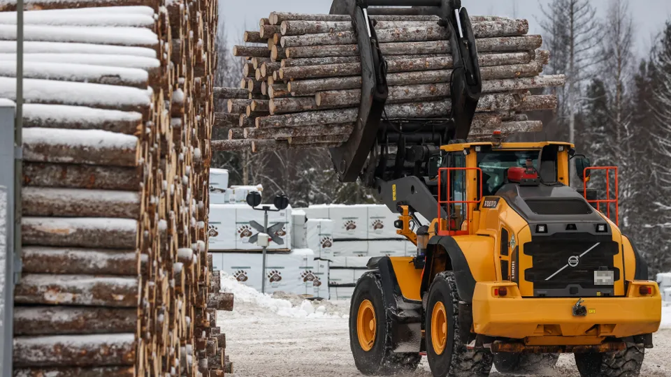Фото: ТАСС/Александр Рюмин