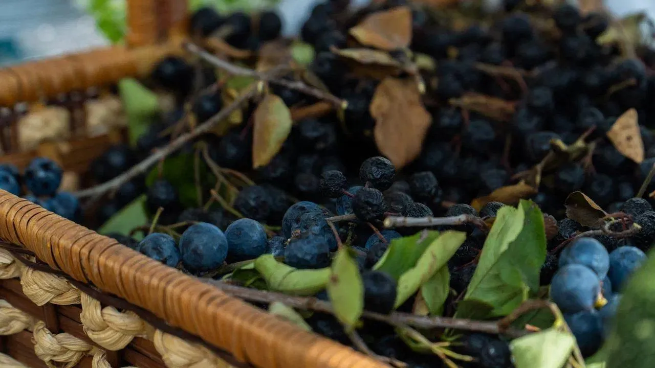 REGIONS/Наталья Надточая