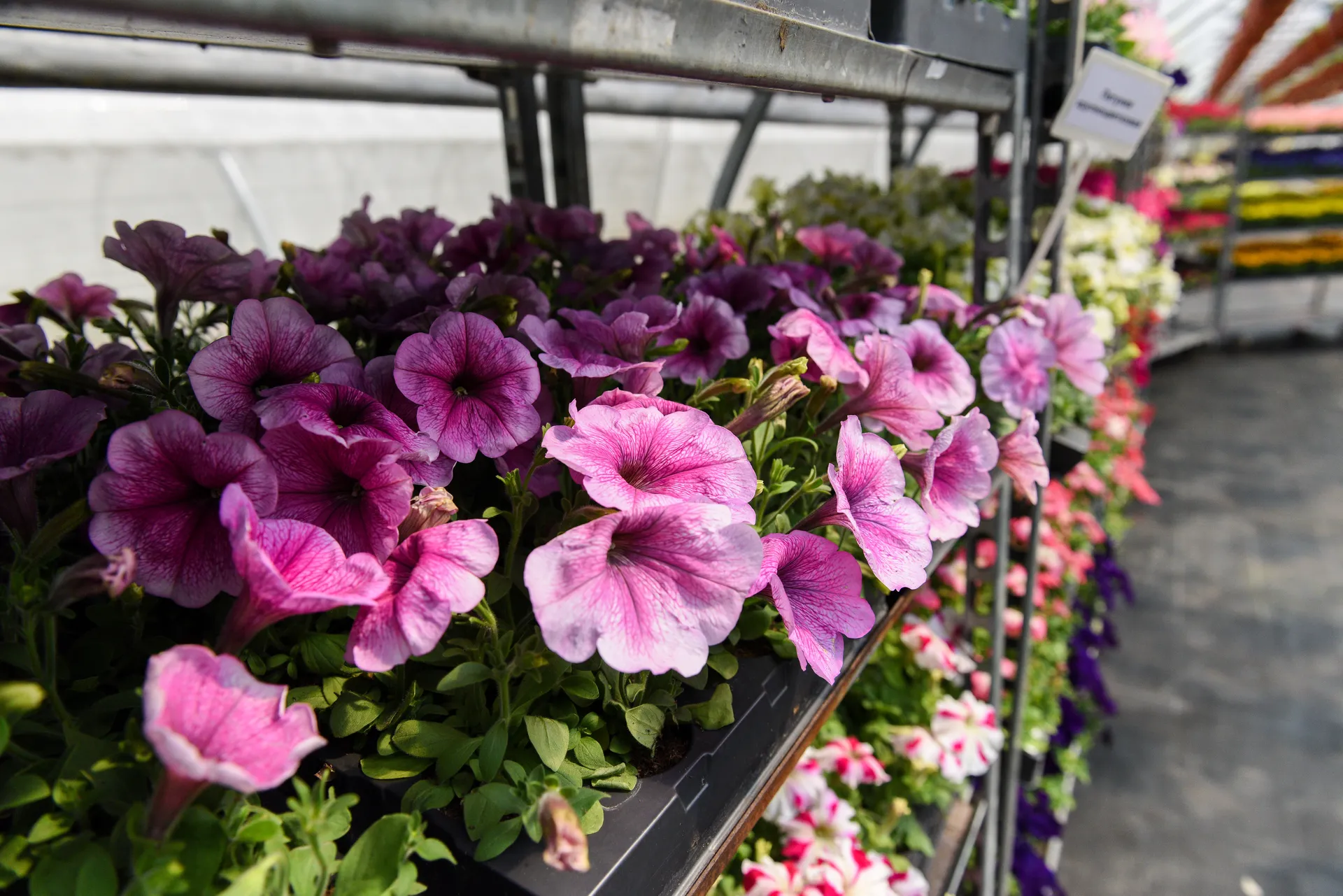 медиасток.рф