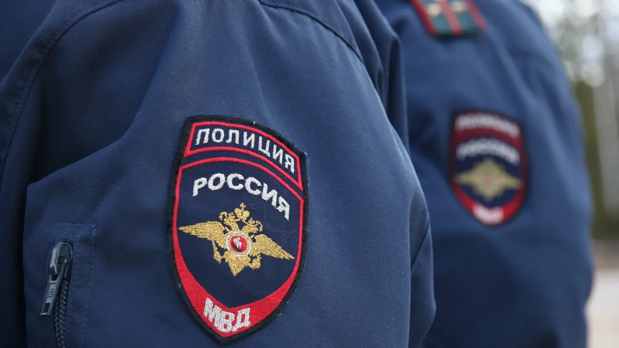 Медиаархив Подмосковья
