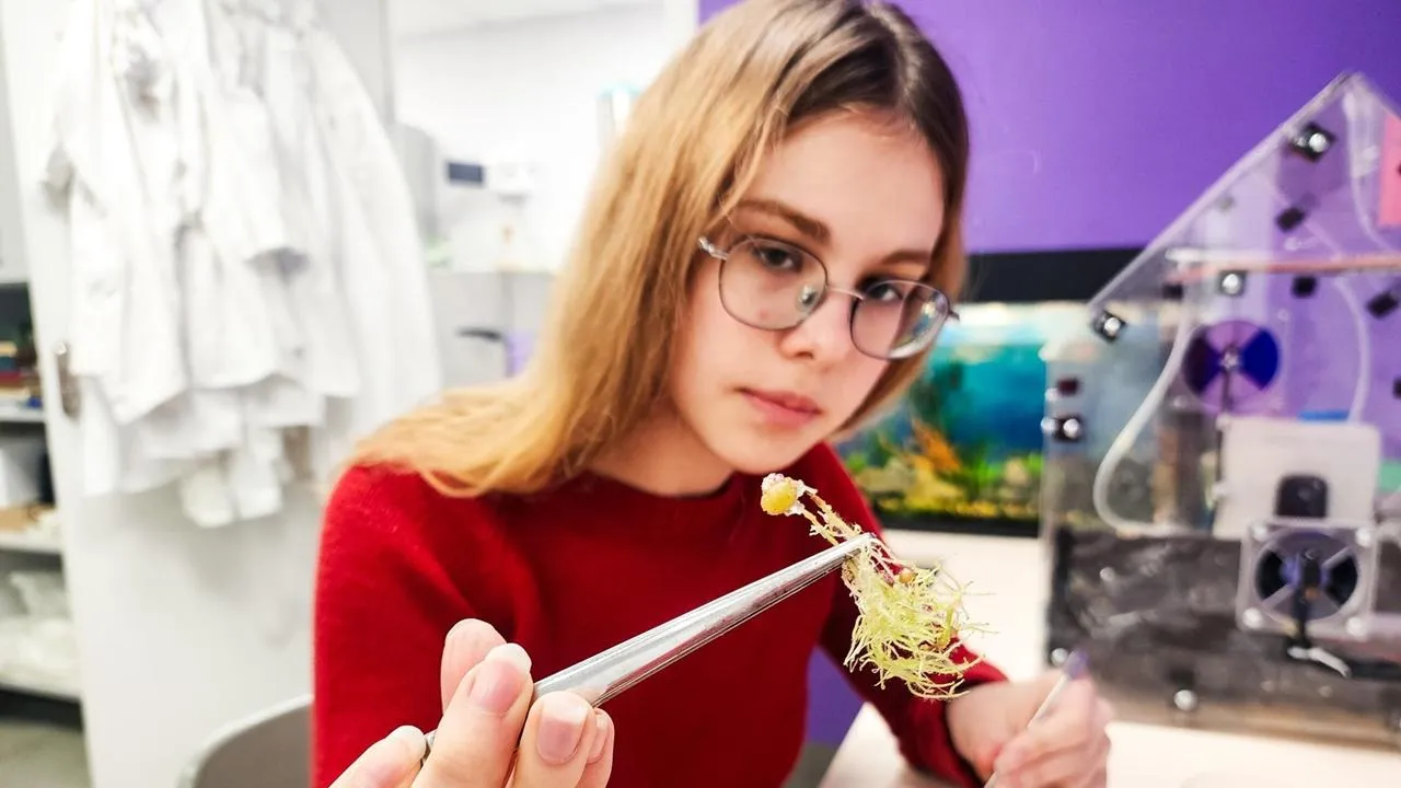 REGIONS/Мария Панина