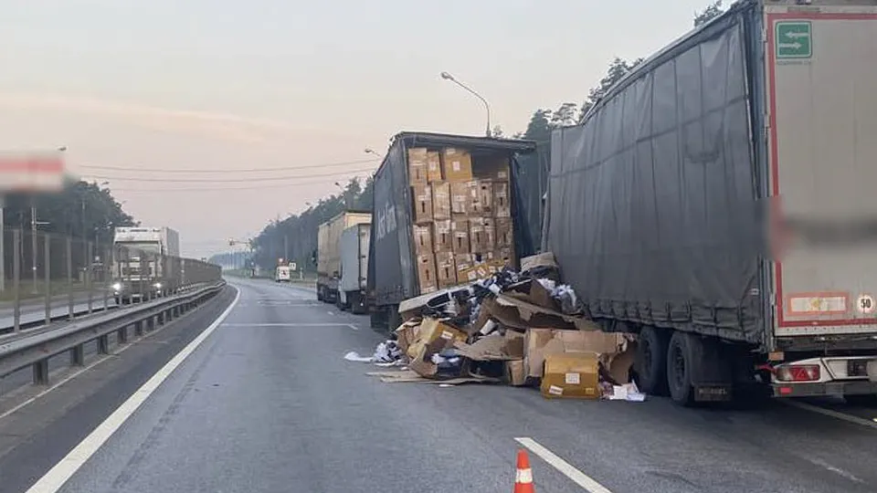 Фото: пресс-служба ГУ МВД России по Московской области